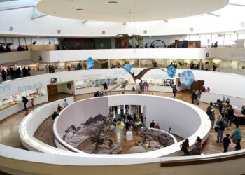 El Museo de Ciencias Naturales lanza una convocatoria para impulsar proyectos