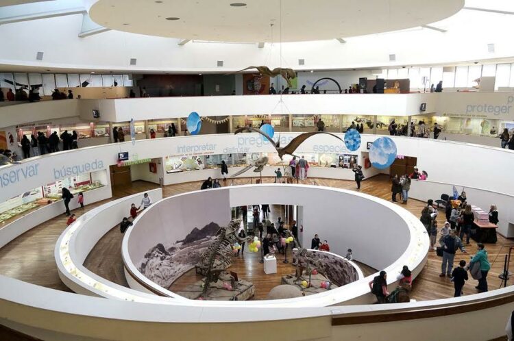 El Museo de Ciencias Naturales lanza una convocatoria para impulsar proyectos La convocatoria “Cruces creativos” invita a artistas, científicos y educadores a fusionar arte y ciencia en proyectos que promuevan una mirada sensible y ambiental sobre la naturaleza.