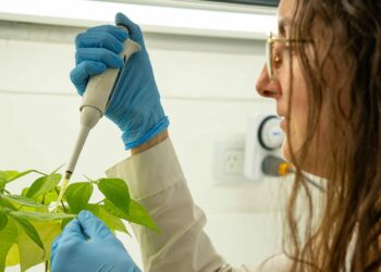 Tomillo, ruda y árbol de té: los ingredientes de una vacuna que fortalece a las plantas