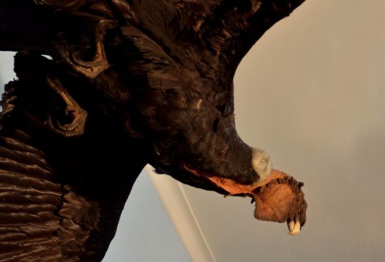 Para ser la tía favorita: dónde llevar a tu sobrino en la Noche de los Museos