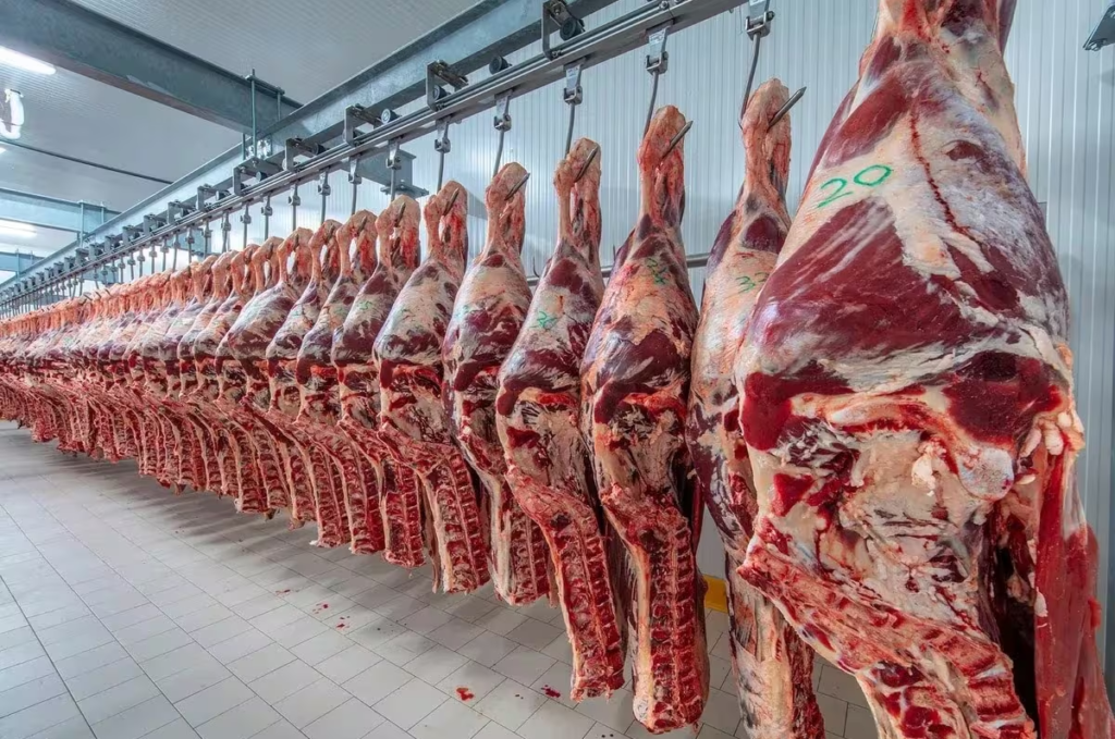 Brasil se encamina a liderar la producción mundial de carne bovina en 2025