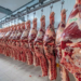 Liderazgo histórico: Brasil se encamina a convertirse en 2025 en el mayor productor mundial de carne bovina, superando a Estados Unidos y consolidando su peso clave en el mercado global de alimentos.