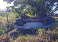 Un mate al volante terminó en un vuelco fatal en la Ruta 6