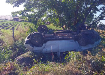 Un mate al volante terminó en un vuelco fatal en la Ruta 6