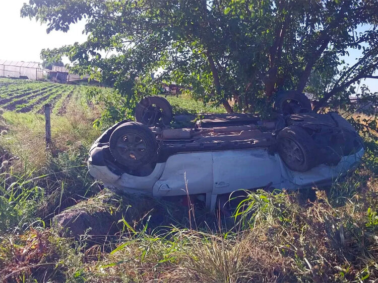 El trágico vuelco en la Ruta 6 volvió a poner en foco los peligros de las distracciones al volante, como tomar mate mientras se conduce.