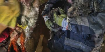 Bomberos lograron rescatar a dos caniches durante el operativo y confirmaron que no presentaban heridas.