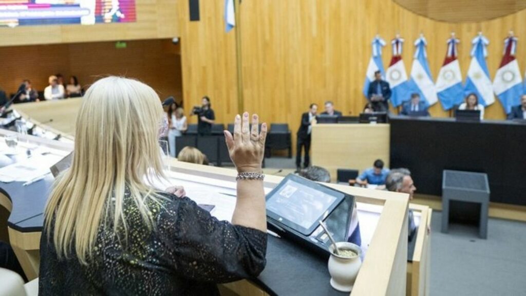 Código de Convivencia: pasan a febrero cuatro artículos polémicos del proyecto de reforma