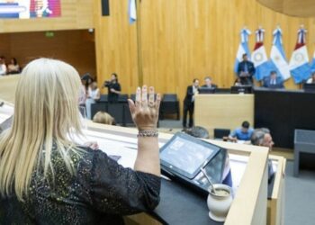 Código de Convivencia: pasan a febrero cuatro artículos polémicos del proyecto de reforma