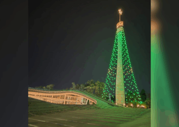 Córdoba enciende su Árbol de Navidad sin acto oficial este año