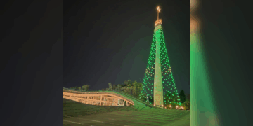 Córdoba enciende su Árbol de Navidad sin acto oficial este año Córdoba enciende su Árbol de Navidad sin acto oficial este año