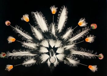 «Umbrales»: una exposición que invita a transitar los límites entre lo visible y lo imaginario