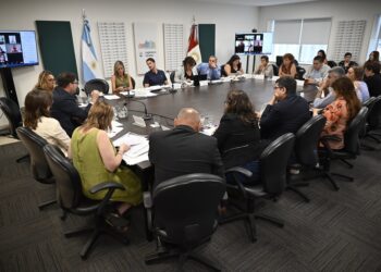 La Legislatura avanza en la actualización de la Ley Provincial de Tránsito