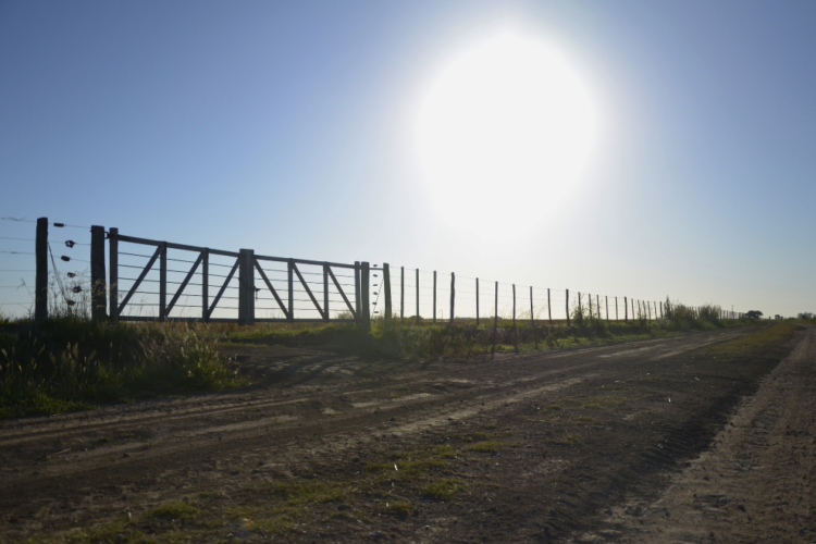 Últimos días para inscribirse en el Registro de Propietario Productor Desde el Ministerio se busca fomentar el arraigo rural y reconocer especialmente a los productores que trabajan su propio campo.