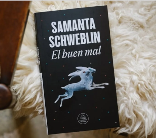 Dos autores argentinos, entre los mejores libros del año según The New Yorker “El buen mal”, de Samanta Schweblin y traducido por Megan McDowell, se destaca en la lista de The New Yorker como uno de los libros esenciales de 2025.