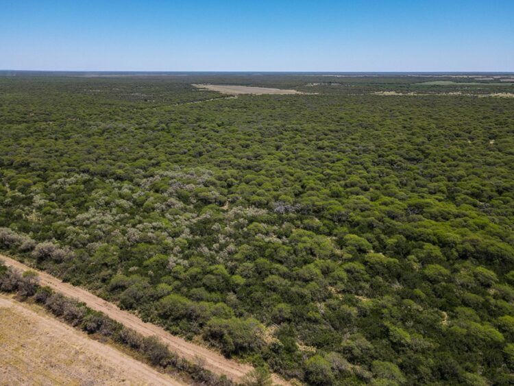 El objetivo es preservar el ecosistema del caldenal, uniendo la sostenibilidad ambiental con el desarrollo rural.