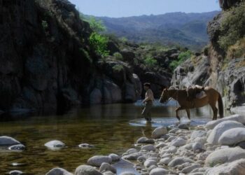 “El Escuerzo” se llevó los premios principales en FantLatam