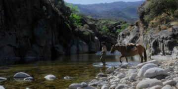 “El Escuerzo” se llevó los premios principales en FantLatam “El Escuerzo” se llevó los premios principales en FantLatam