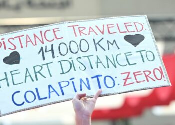 GP de Abu Dhabi: Colapinto cerró la FP3 en el 19° puesto