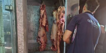 Decomisan 700 kg de carne porcina por faenamiento ilegal en Ballesteros La carne decomisada fue trasladada a un frigorífico habilitado para su destrucción mediante digestor.