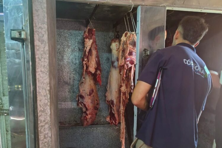 Decomisan 700 kg de carne porcina por faenamiento ilegal en Ballesteros La carne decomisada fue trasladada a un frigorífico habilitado para su destrucción mediante digestor.