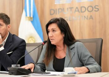 La diputada cordobesa Laura Rodríguez Machado