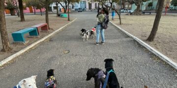 Cuidadores de mascotas: cómo elegir con quién dejar a quienes más queremos Cuidadores de mascotas: cómo elegir con quién dejar a quienes más queremos