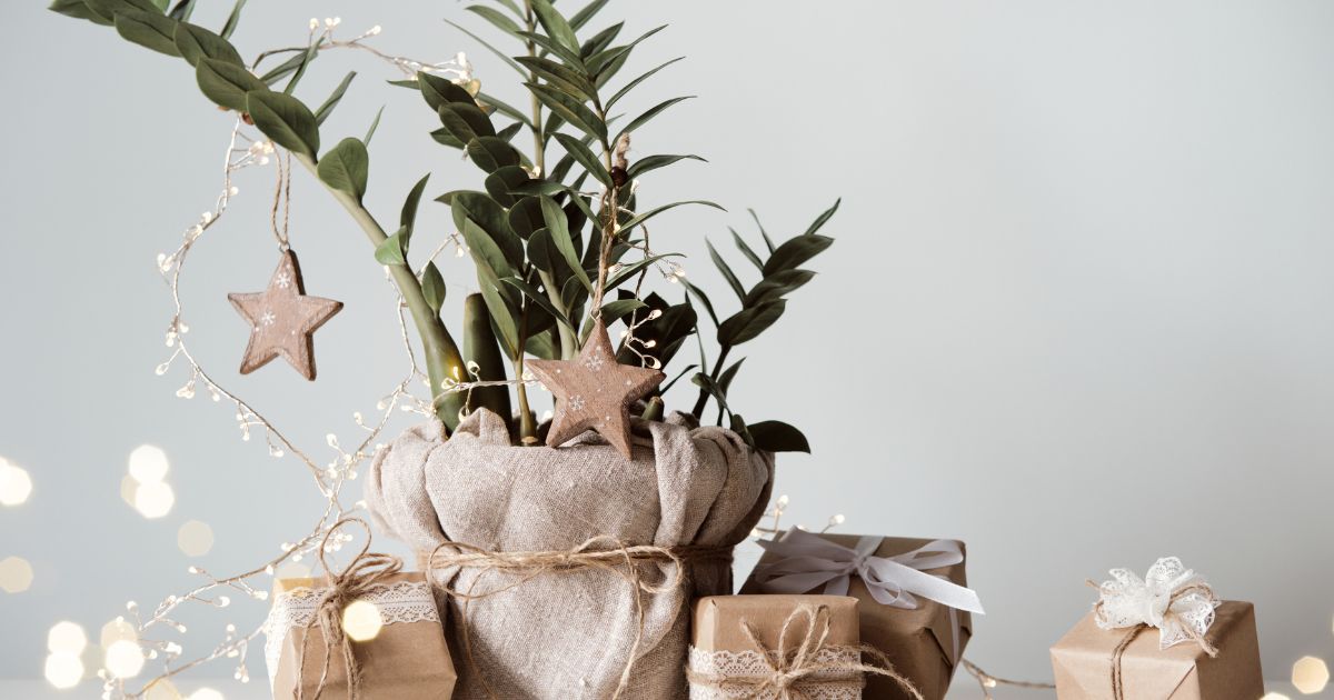 Navidad sustentable: cómo decorar sin generar tanto residuo