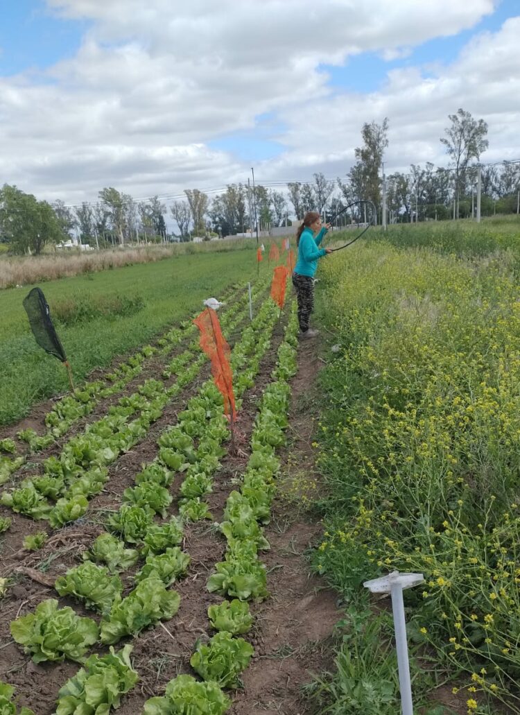 productores hortícolas