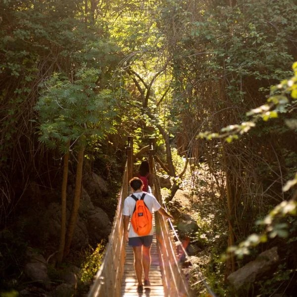 Quaras obtuvo el premio Bitácora de Plata 2025 Quaras obtuvo el premio Bitácora de Plata 2025