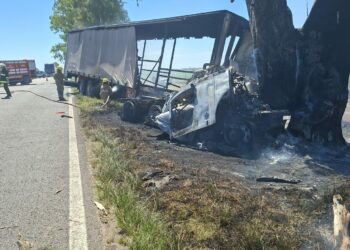 Borrador automático