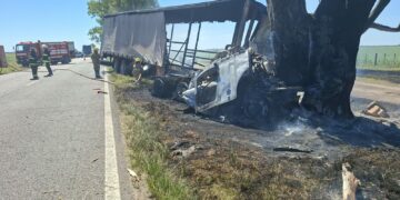 Accidente fatal en la Ruta 8: un camionero murió tras chocar contra un árbol Borrador automático