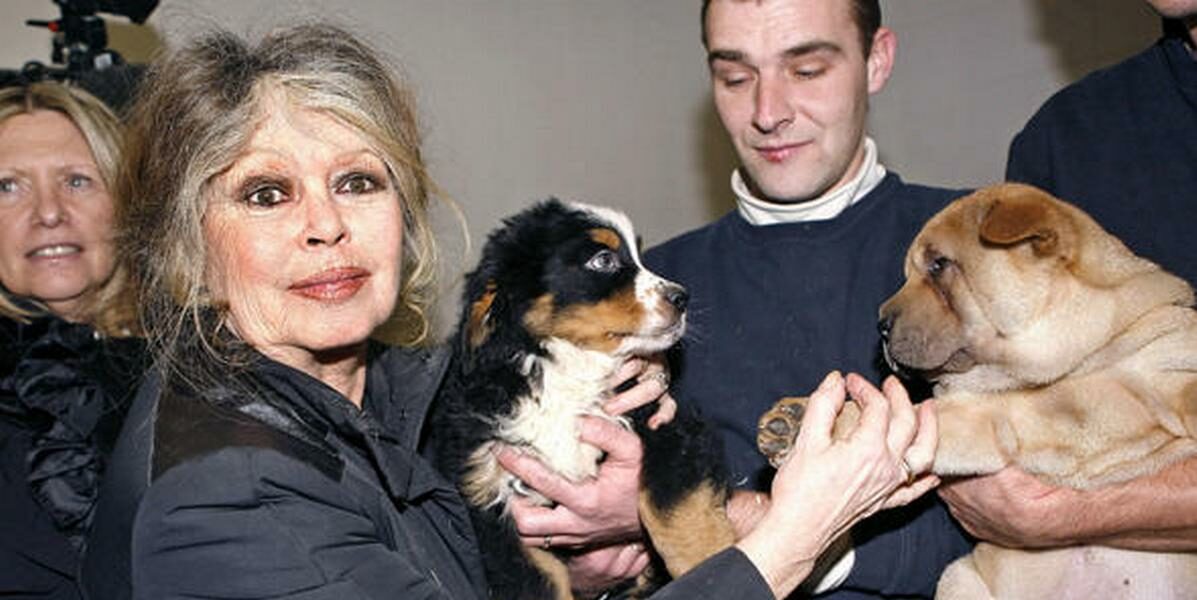 Adiós a Brigitte Bardot, ícono del cine y voz incansable de la causa animal Adiós a Brigitte Bardot, ícono del cine y voz incansable de la causa animal