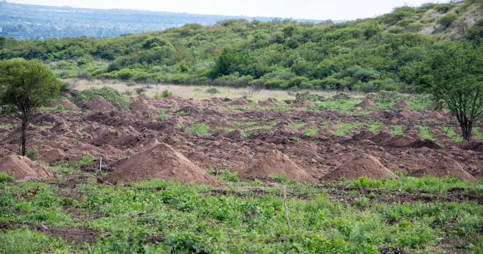 El presidente del Tribunal Superior de Justicia visitó “La Perla” Los trabajos forman parte de una investigación por delitos de lesa humanidad.