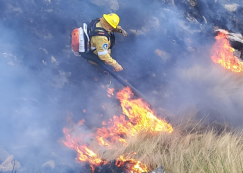 Bajó la superficie quemada, pero persisten las causas de fondo