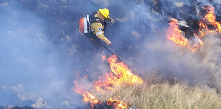 Bajó la superficie quemada, pero persisten las causas de fondo Aunque en 2025 se redujo de forma significativa la superficie incendiada en Córdoba, especialistas advierten que continúan los desmontes ilegales, la especulación inmobiliaria y las debilidades en la prevención y el control del fuego.