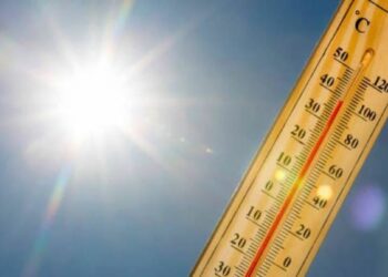 Calor intenso para la semana de fin de año: con un 31 donde la máxima será de 38°