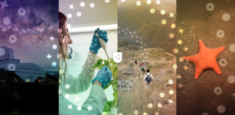 UNCIENCIA cerró 2025 con un fuerte crecimiento en producción y alcance, consolidándose como un puente entre la ciencia que se investiga en la UNC y la sociedad, en un año clave para la divulgación científica.