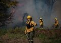 El Gobierno declarará por DNU la Emergencia Ígnea en la Patagonia