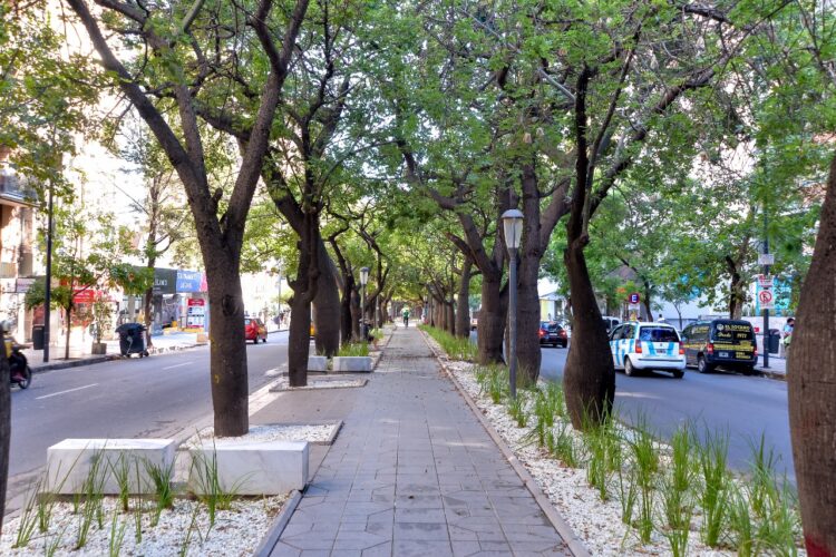 Atención automovilistas: cortes y desvíos en varias calles desde el miércoles desvios