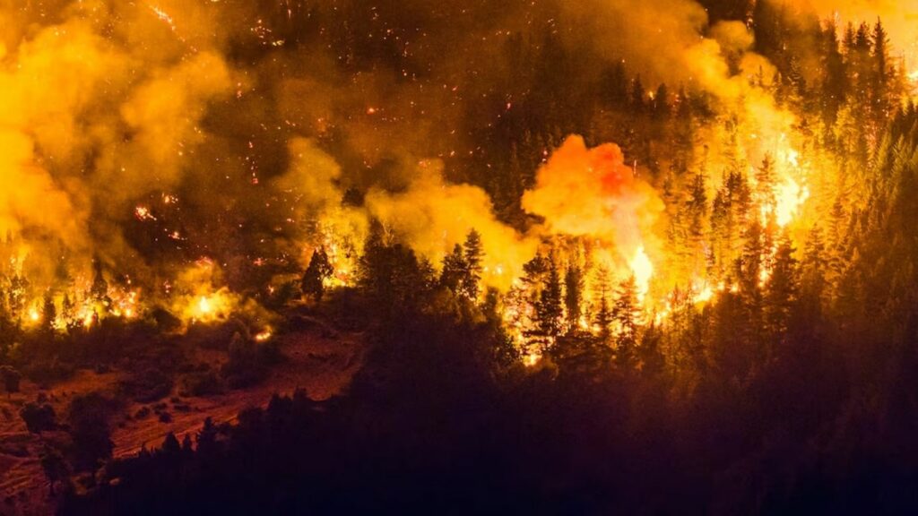 Chubut apunta a un origen intencional en los incendios forestales Chubut apunta a un origen intencional en los incendios forestales