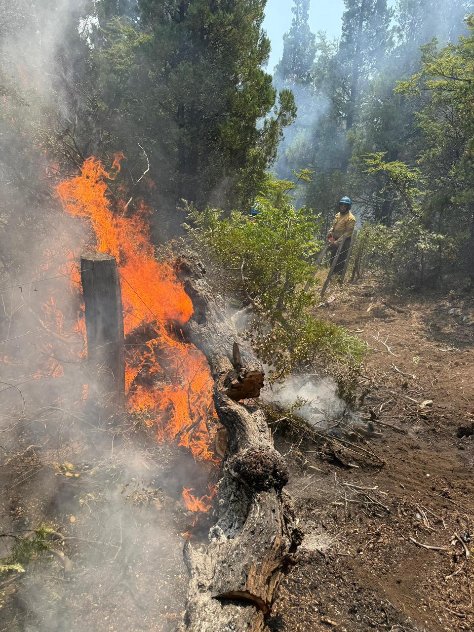 El segundo grupo de brigadistas cordobeses trabaja en Chubut