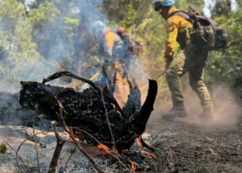 El segundo grupo de brigadistas cordobeses trabaja en Chubut