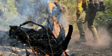 El segundo grupo de brigadistas cordobeses trabaja en Chubut