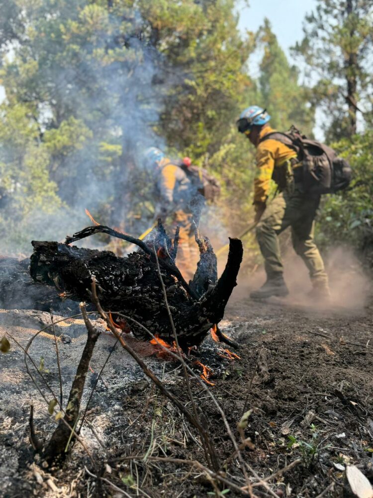 El segundo contingente ya trabaja en la cordillera chubutense.