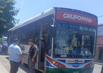 El hecho ocurrió en una unidad de la línea 50 y terminó con un pasajero detenido.