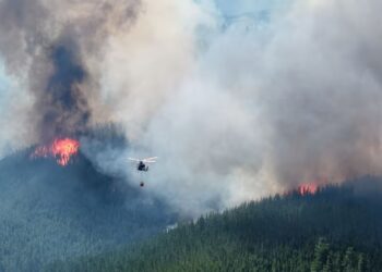 Grave incendio forestal en Puerto Patriada: viviendas destruidas y masivas evacuaciones
