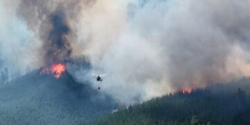 Grave incendio forestal en Puerto Patriada: viviendas destruidas y masivas evacuaciones