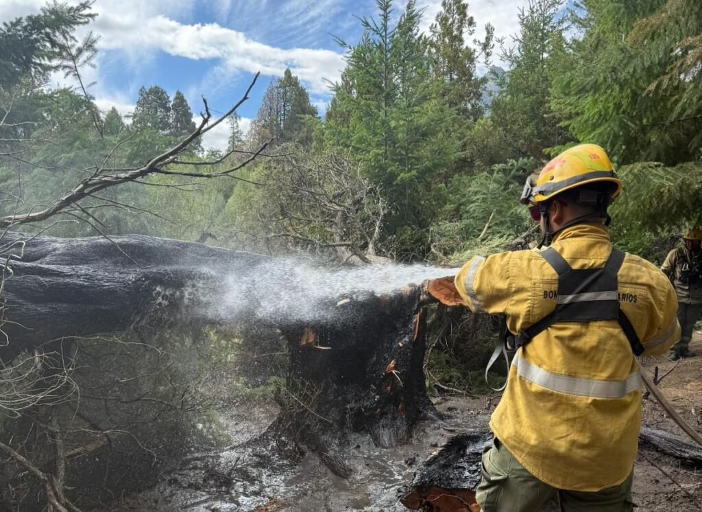 El operativo se concentra entre las localidades de Epuyén y El Maitén, al sur de la Ruta Provincial 70.