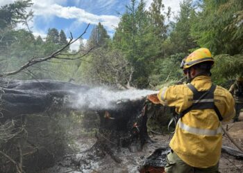 El operativo se concentra entre las localidades de Epuyén y El Maitén, al sur de la Ruta Provincial 70.