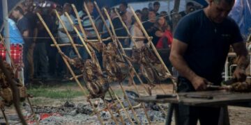 Alpa Corral se prepara para vivir la 8ª edición del Festival Provincial del Cordero